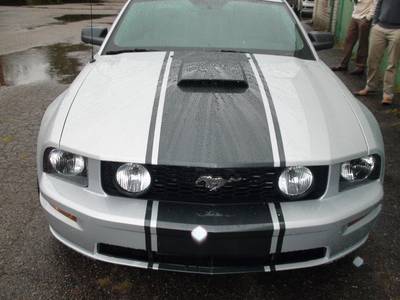 Airbrush 28 — airbrush graphics custom paint by Keena's Inc, Warren MI