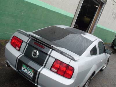 Airbrush 29 — airbrush graphics custom paint by Keena's Inc, Warren MI