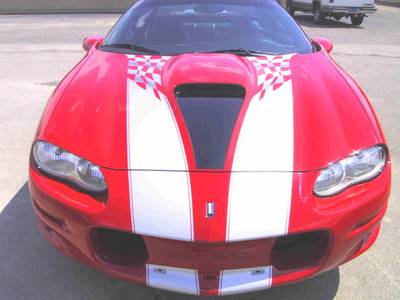 Airbrush 31 — airbrush graphics custom paint by Keena's Inc, Warren MI