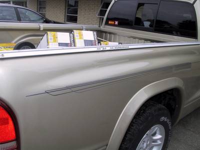 Pinstripe23 — freehand pinstriping custom paint by Keena's Inc, Warren MI